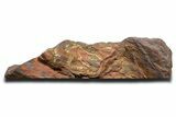 Large Tiger Iron Stromatolite Section - Billion Years #353582-2